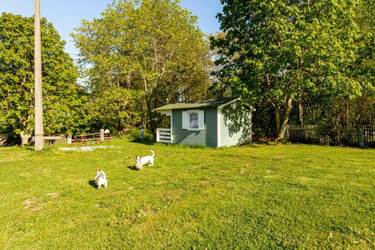 Guest House Rannaliiv Võsu Eksteriør bilde